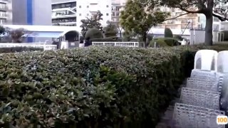 91小视频图片